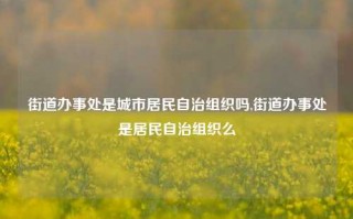 街道办事处是城市居民自治组织吗,街道办事处是居民自治组织么