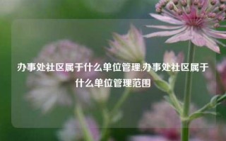 办事处社区属于什么单位管理,办事处社区属于什么单位管理范围