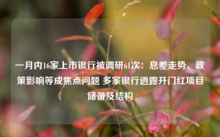 一月内16家上市银行被调研61次：息差走势、政策影响等成焦点问题 多家银行透露开门红项目储备及结构