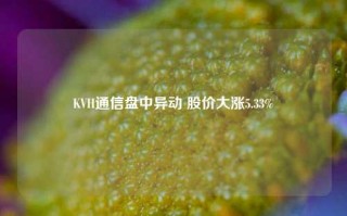 KVH通信盘中异动 股价大涨5.33%