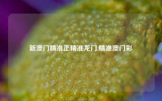 新澳门精准正精准龙门,精准澳门彩