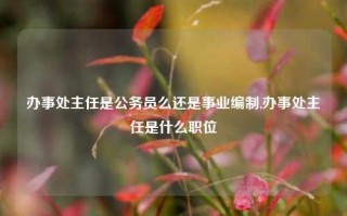 办事处主任是公务员么还是事业编制,办事处主任是什么职位