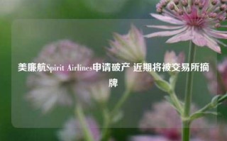 美廉航Spirit Airlines申请破产 近期将被交易所摘牌