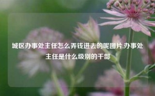 城区办事处主任怎么弄钱进去的呢图片,办事处主任是什么级别的干部