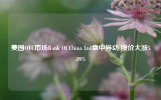 美国OTC市场Bank Of China Ltd盘中异动 股价大涨5.89%