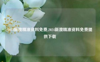 2024新澳精准资料免费,2024新澳精准资料免费提供下载