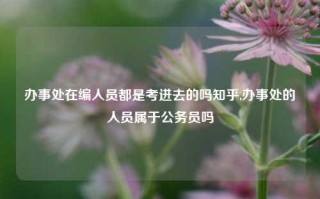 办事处在编人员都是考进去的吗知乎,办事处的人员属于公务员吗