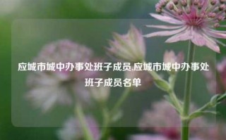 应城市城中办事处班子成员,应城市城中办事处班子成员名单