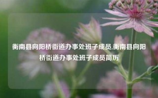 衡南县向阳桥街道办事处班子成员,衡南县向阳桥街道办事处班子成员简历