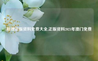 新澳正版资料免费大全,正版资料2021年澳门免费