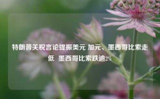 特朗普关税言论提振美元 加元、墨西哥比索走低  墨西哥比索跌逾2%