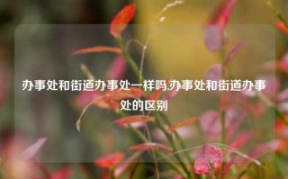 办事处和街道办事处一样吗,办事处和街道办事处的区别