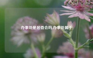 办事处是居委会吗,办事处属于