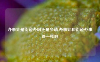 办事处是街道办吗还是乡镇,办事处和街道办事处一样吗