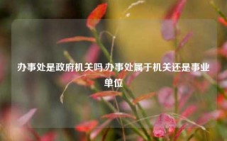 办事处是政府机关吗,办事处属于机关还是事业单位