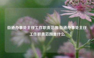 街道办事处主任工作职责范围,街道办事处主任工作职责范围是什么