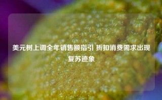 美元树上调全年销售额指引 折扣消费需求出现复苏迹象