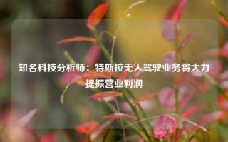 知名科技分析师：特斯拉无人驾驶业务将大力提振营业利润