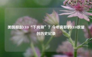 美国掀起CEO“下岗潮”？今年离职的CEO数量创历史纪录