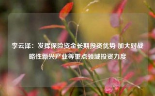 李云泽：发挥保险资金长期投资优势 加大对战略性新兴产业等重点领域投资力度