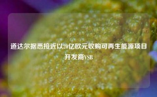 道达尔据悉接近以20亿欧元收购可再生能源项目开发商VSB