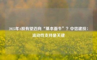 2025年A股有望迈向“基本面牛”？中信建投：流动性支持是关键