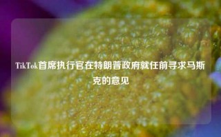 TikTok首席执行官在特朗普政府就任前寻求马斯克的意见