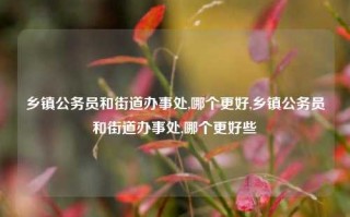 乡镇公务员和街道办事处,哪个更好,乡镇公务员和街道办事处,哪个更好些