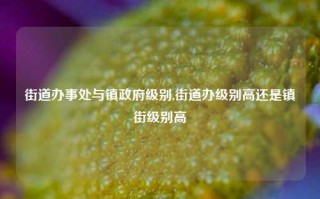 街道办事处与镇政府级别,街道办级别高还是镇街级别高