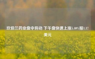 坎伯兰药业盘中异动 下午盘快速上涨5.40%报1.17美元