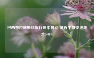 巴西布拉德斯科银行盘中异动 临近午盘快速跳水5.06%