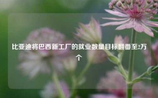 比亚迪将巴西新工厂的就业数量目标翻番至2万个