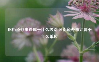 区街道办事处属于什么级别,区街道办事处属于什么单位