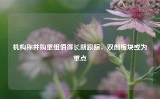 机构称并购重组值得长期跟踪，双创板块或为重点