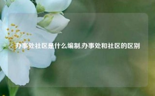 办事处社区是什么编制,办事处和社区的区别