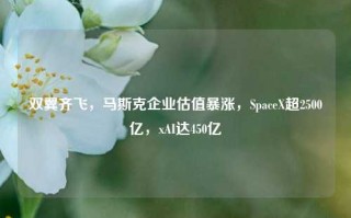 双翼齐飞，马斯克企业估值暴涨，SpaceX超2500亿，xAI达450亿