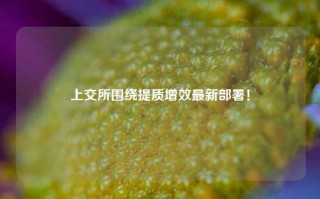 上交所围绕提质增效最新部署！