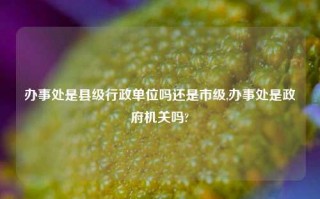 办事处是县级行政单位吗还是市级,办事处是政府机关吗?