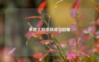 多地土拍市场成交回暖