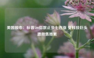 美国股市：标普500指数止步七连涨 受科技巨头遭抛售拖累