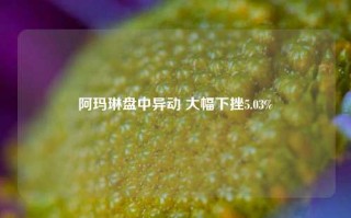 阿玛琳盘中异动 大幅下挫5.03%