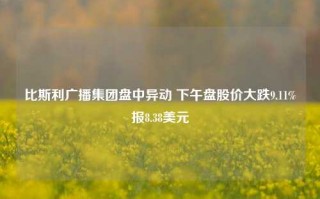 比斯利广播集团盘中异动 下午盘股价大跌9.11%报8.38美元