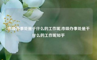 市级办事处是干什么的工作呢,市级办事处是干什么的工作呢知乎