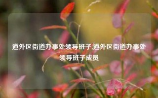 道外区街道办事处领导班子,道外区街道办事处领导班子成员