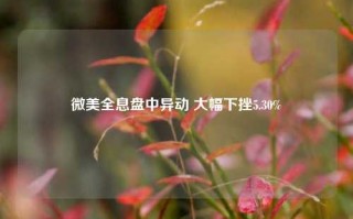 微美全息盘中异动 大幅下挫5.30%