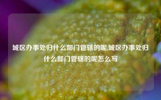 城区办事处归什么部门管辖的呢,城区办事处归什么部门管辖的呢怎么写