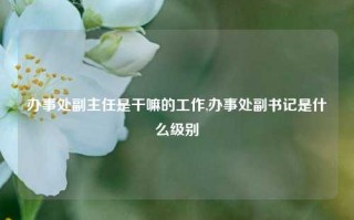 办事处副主任是干嘛的工作,办事处副书记是什么级别