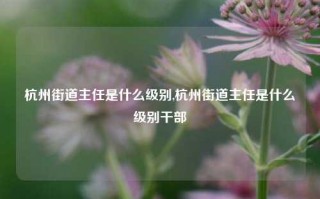 杭州街道主任是什么级别,杭州街道主任是什么级别干部