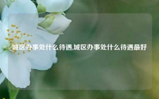 城区办事处什么待遇,城区办事处什么待遇最好