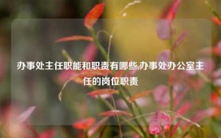 办事处主任职能和职责有哪些,办事处办公室主任的岗位职责